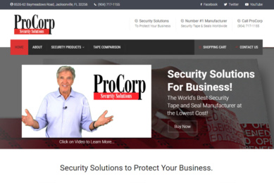 ProCorp Security Solutions, web design atlantic beach fl